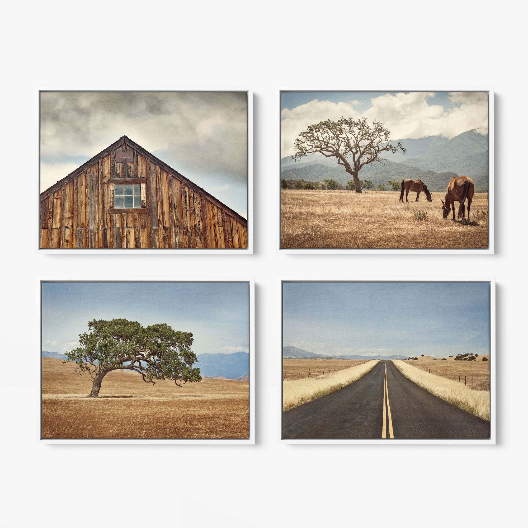 Collage of four images: a weathered wooden barn roof with a window, two horses grazing by a lone tree, a single tree in golden landscape, and an open countryside road. The Set of 4 Framed Canvas 24x30 from Offley Green beautifully captures nature's essence. Choose from multiple combinations!.