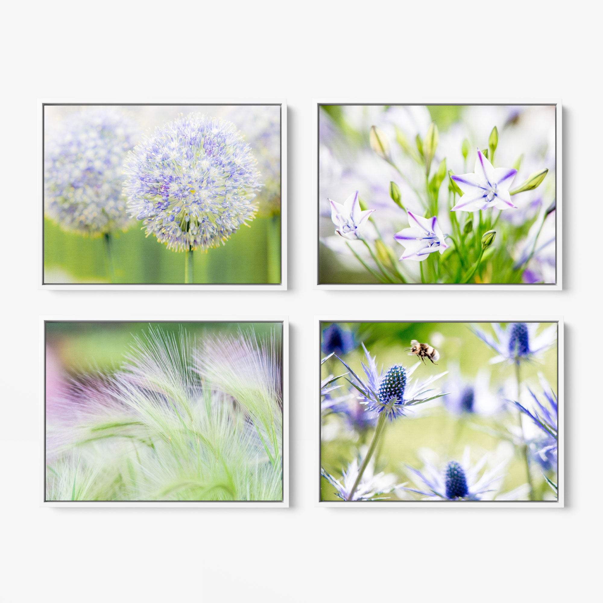 Offley Green's Set of 4 Framed Canvas 24x30 features botanical styles: 1) Close-up of round, fluffy flowers. 2) Purple star-shaped blooms. 3) Soft-focus green and purple grasses. 4) Bee over blue spiky flowers with lush green backdrop.