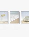 Offley Green's Set of 3 Framed Canvas offers multiple print choices: one with palm trees on a beach, another featuring ocean waves, and a third depicting a lifeguard tower. Crafted from FSC-certified renewable forests, each piece features coastal styles in soft, muted colors.