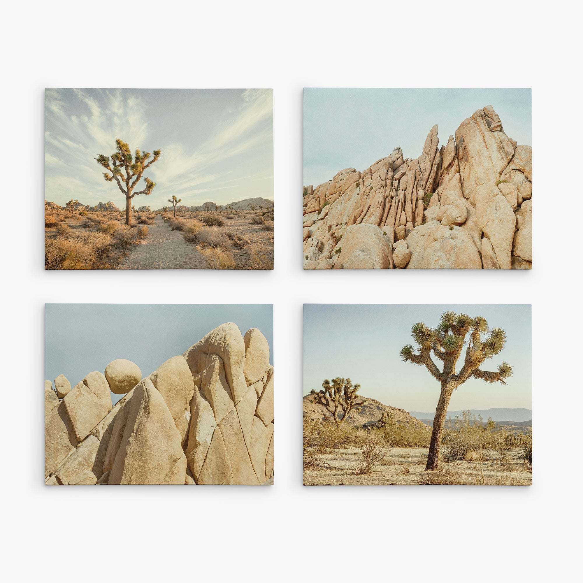 Offley Green's Set of 4 Canvas features stunning landscapes: a desert scene with a Joshua tree, rocky formations, large boulders, and a solitary Joshua tree framed by mountains. These eco-friendly prints are perfect for gallery wrap display on crisp white backgrounds.