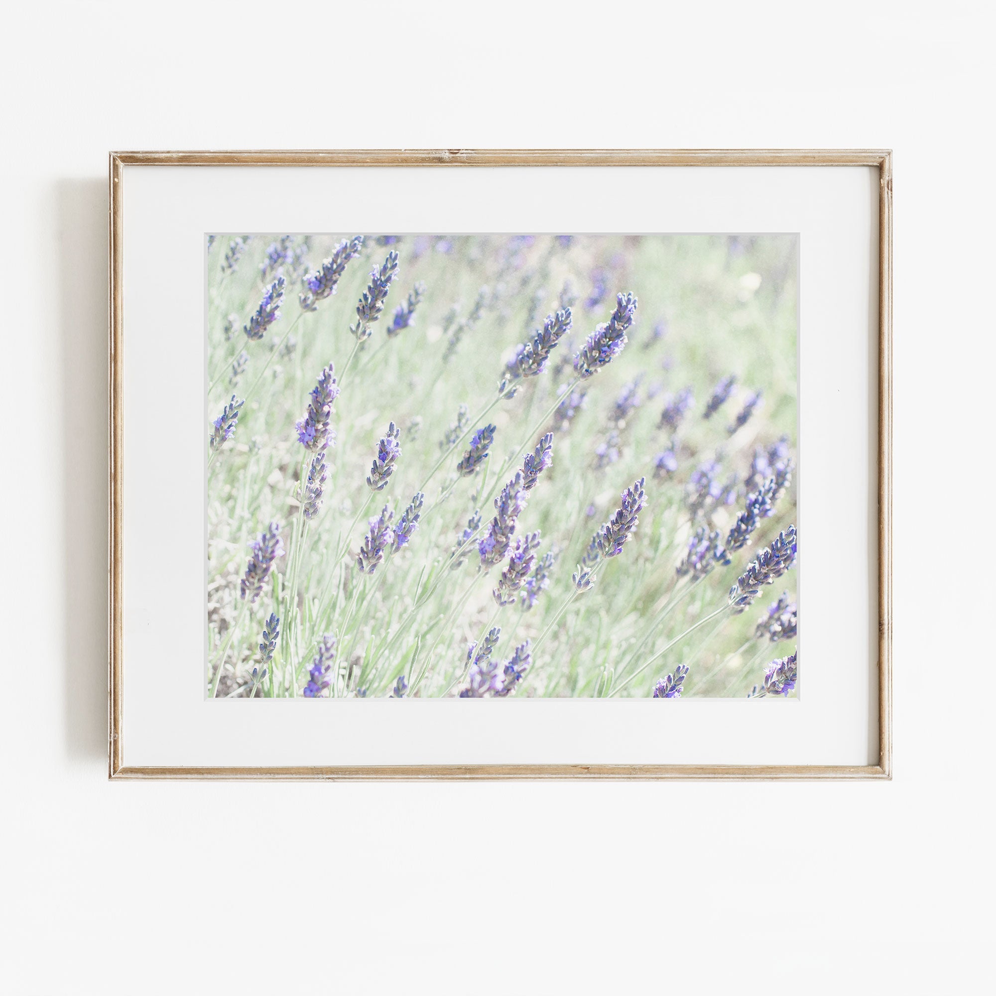 lavender flower wall decals Floral Purple Lavender Print