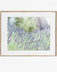 Rustic Floral Print, 'Fields of Lavender'