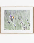 Rustic Floral Print, 'Lavender for Bees'
