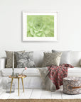 A cozy living room with a white sofa adorned with patterned cushions in various shades of grey and beige. A decorative throw blanket is draped over the sofa. A small round wooden table holds a pink flower in a glass vase. An ottoman and Offley Green's Sage Green Print, 'Succulent Heart' adorn the space.