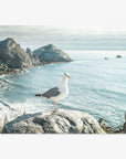 Big Sur Coastal Seagull Print, 'Bird on Rock'