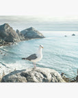 Photo of a seagull perched on a rock in front of a scenic coastline with rugged cliffs and calm sea waters, printed on archival photographic paper, hung on a line with clothespins. Offley Green's Big Sur Landscape Print, 'Lobster Mornay For Tea'.