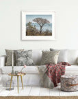 A cozy living room with a white sofa adorned with decorative pillows, a red patterned throw blanket, a small round table with a vase and books, and unframed Offley Green California Landscape Art in Big Sur, 'Wind Blown Tree' photography on the wall.