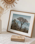 California Landscape Art in Big Sur, 'Wind Blown Tree'
