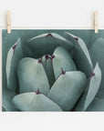 Abstract Teal Green Botanical Print, 'Teal Petals'