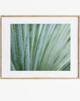 Framed artwork of a close-up of green plant leaves on a white background