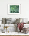 Abstract Green Botanical Print, 'Desert Fireworks'