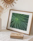 Abstract Green Botanical Print, 'Desert Fireworks'