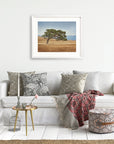 California Oak Tree Print, 'Windswept'