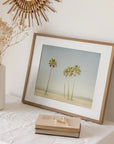 California Beach Palm Tree Print, 'Boardwalk Palms'
