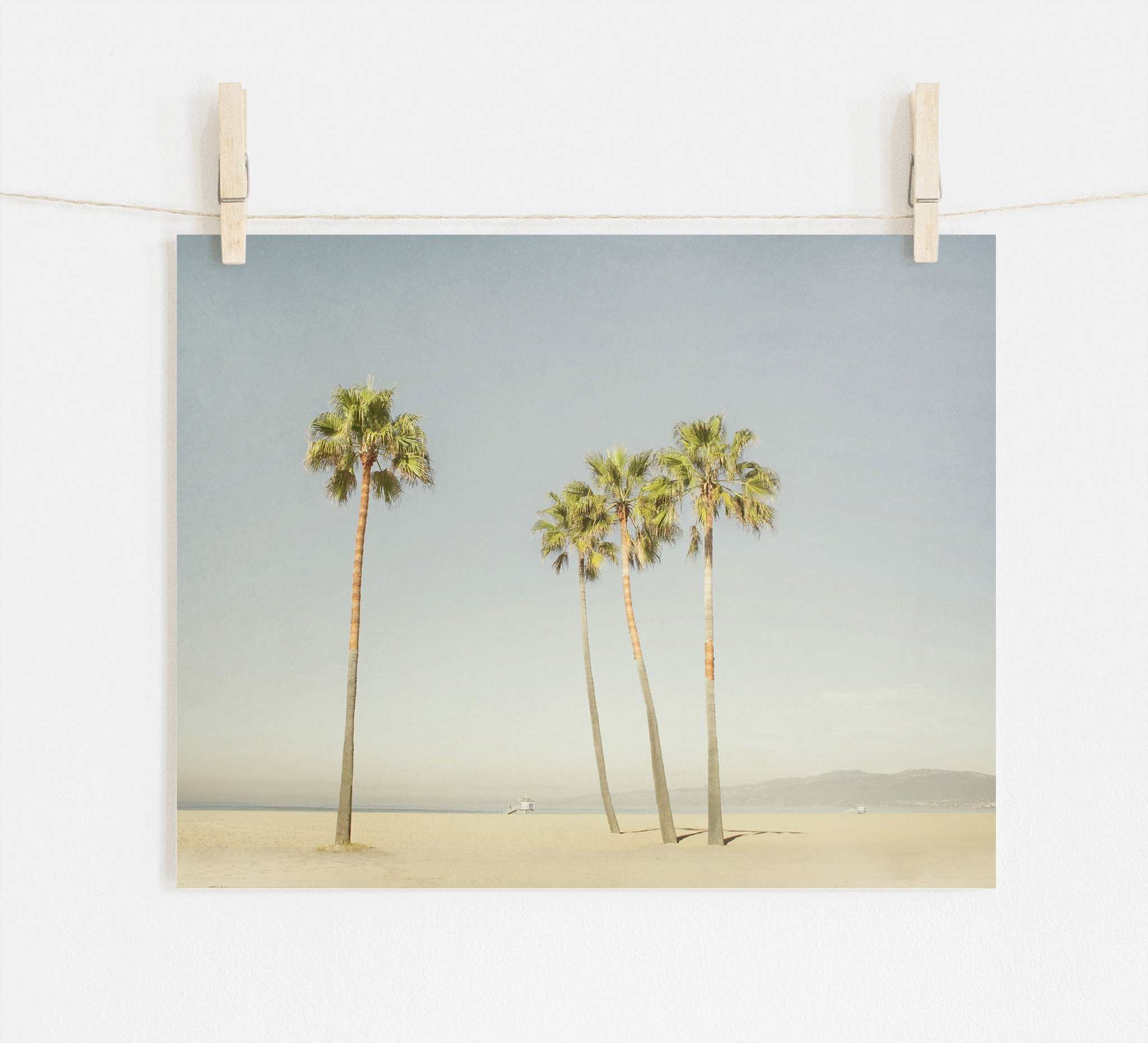 Photo of a picturesque California Beach Palm Tree Print, 'Boardwalk Palms' with five palm trees on archival photographic paper, pegged by wooden clothespins to a string against a white wall. Brand Name: Offley Green