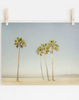 Photo of a picturesque California Beach Palm Tree Print, 'Boardwalk Palms' with five palm trees on archival photographic paper, pegged by wooden clothespins to a string against a white wall. Brand Name: Offley Green