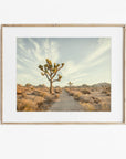Joshua Tree Print, 'Path to Joshua'