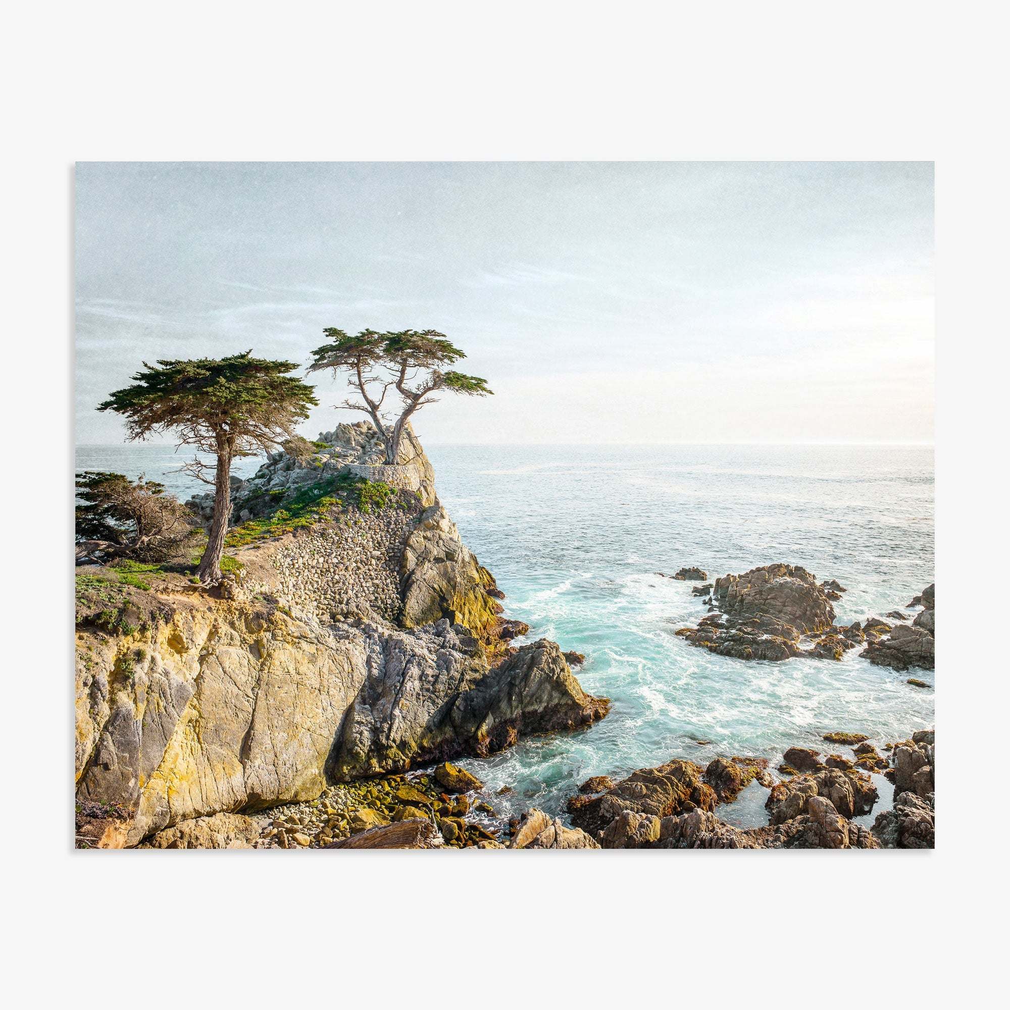 A serene coastal scene with rugged cliffs and a few trees overlooking the sparkling blue ocean under a clear sky. Light filters softly, creating a dreamy and tranquil atmosphere, perfect for Offley Green's California Coastal Print, 'Lone Cypress' photography.