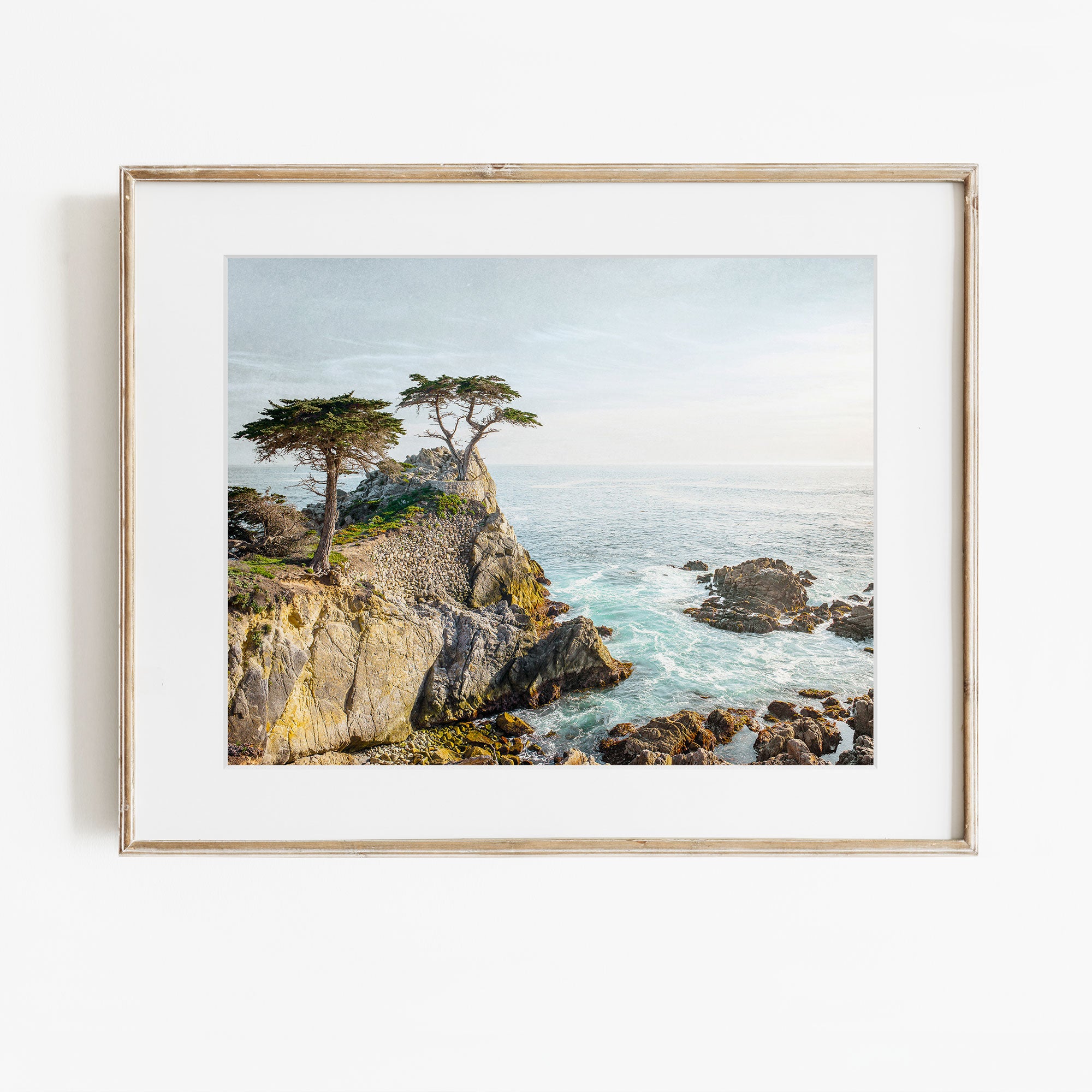 California Coastal Wall Art, 'Lone Cypress' Unframed Print