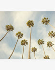 Low angle view of tall Offley Green California Beach Scene 'Reach for the Palms' palm tree prints against a bright sky with soft clouds, illustrating a sunny and tranquil day.