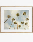 Palm Tree Print, California Beach Scene 'Reach for the Palms'