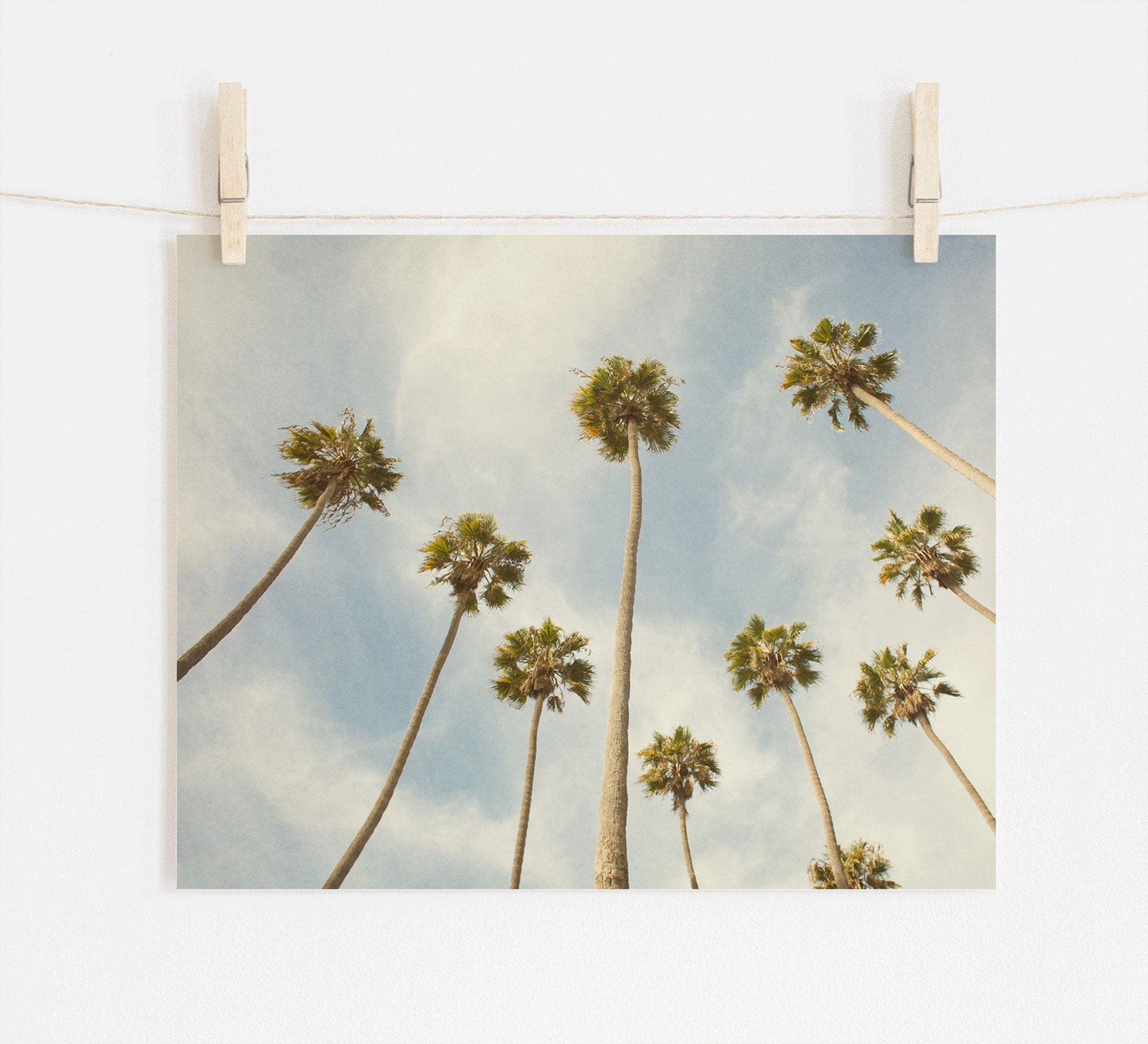 A photograph of tall California palm trees from a low angle view, pinned to a white wall with wooden clothespins, against a serene blue sky with light clouds - Offley Green's Palm Tree Print, California Beach Scene 'Reach for the Palms'.