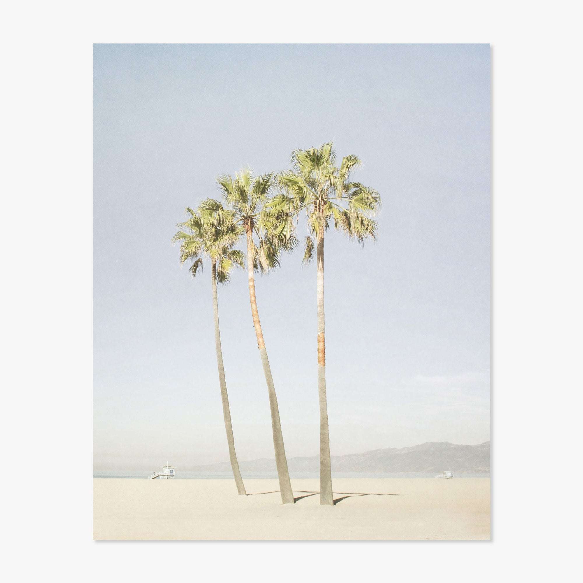 Three tall palm trees stand gracefully on a sandy beach under a clear sky, with a distant mountain range and a boat visible along the horizon in an Offley Green California Venice Beach Print, 'Three Palms'.