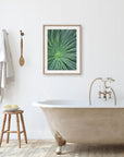 Green Botanical Wall Art 'Desert Fireworks II'