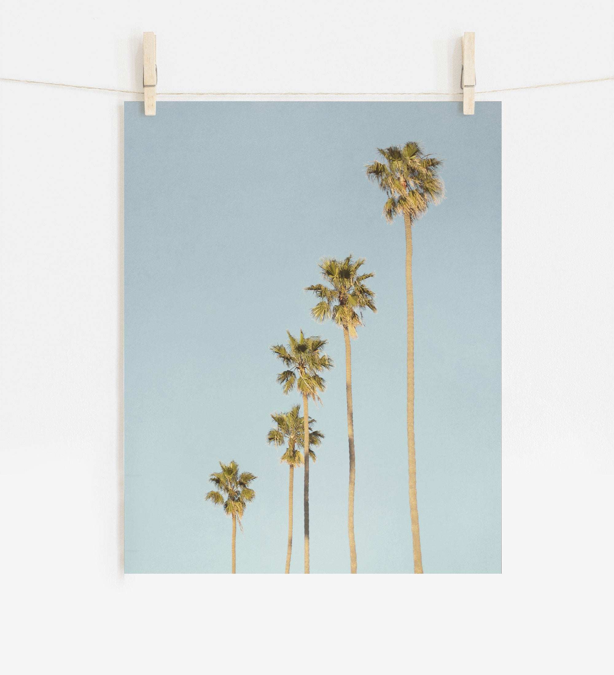 A photo of tall palm trees against a blue sky, clipped to a string with two wooden clothespins in California style, suggesting the image is hanging for display is the Offley Green Los Angeles Palm Tree Photographic Print 'Palm Tree Steps'.