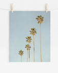 A photo of tall palm trees against a blue sky, clipped to a string with two wooden clothespins in California style, suggesting the image is hanging for display is the Offley Green Los Angeles Palm Tree Photographic Print 'Palm Tree Steps'.