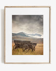 Rustic Farmhouse Wall Art, 'Old Wagon'