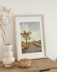 Joshua Tree Prints Gift Set, 3 Unframed Fine Art Photographs