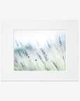 5x7 Botanical Matted Print (Choose from 6 Designs)