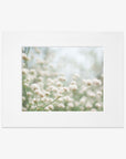 5x7 Botanical Matted Print (Choose from 6 Designs)