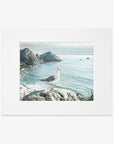8x10 Coastal Matted Fine Art Print (Choose from 6 Designs)