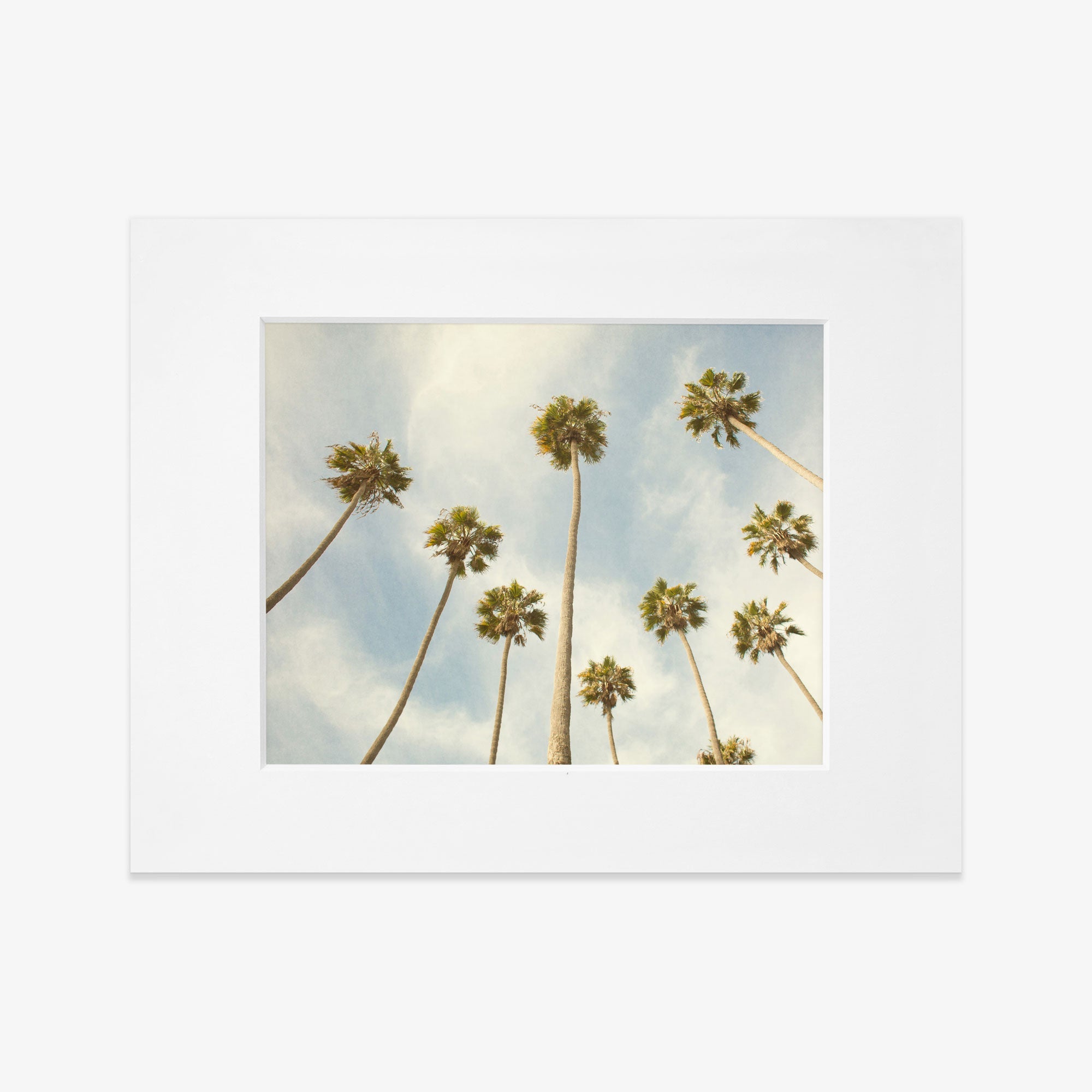A framed photograph on archival photographic paper showing a group of tall California palm trees extending towards a clear blue sky with light clouds, viewed from a low angle. The Offley Green Palm Tree Print, California Beach Scene &#39;Reach for the Palms&#39;.