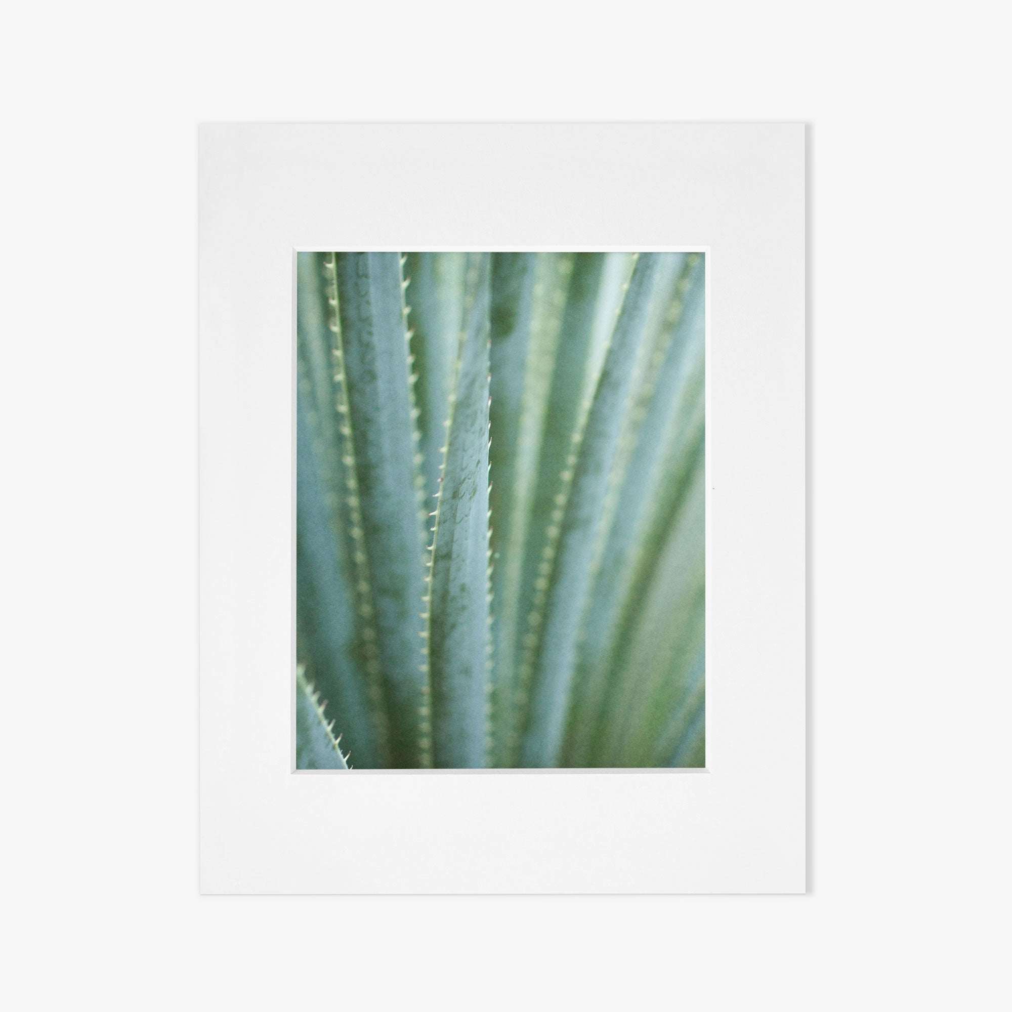 A minimalistic white square picture frame with a centered gray placeholder featuring Offley Green&#39;s &#39;Strands and Spikes II&#39; green botanical print, set against a white background.
