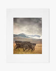 Offley Green's 'Old Wagon' Rustic Farmhouse Wall Art features a scenic view of an antique wooden wagon with large wheels on a grassy field, set against snow-capped mountains under a cloudy sky, capturing a nostalgic and tranquil landscape.