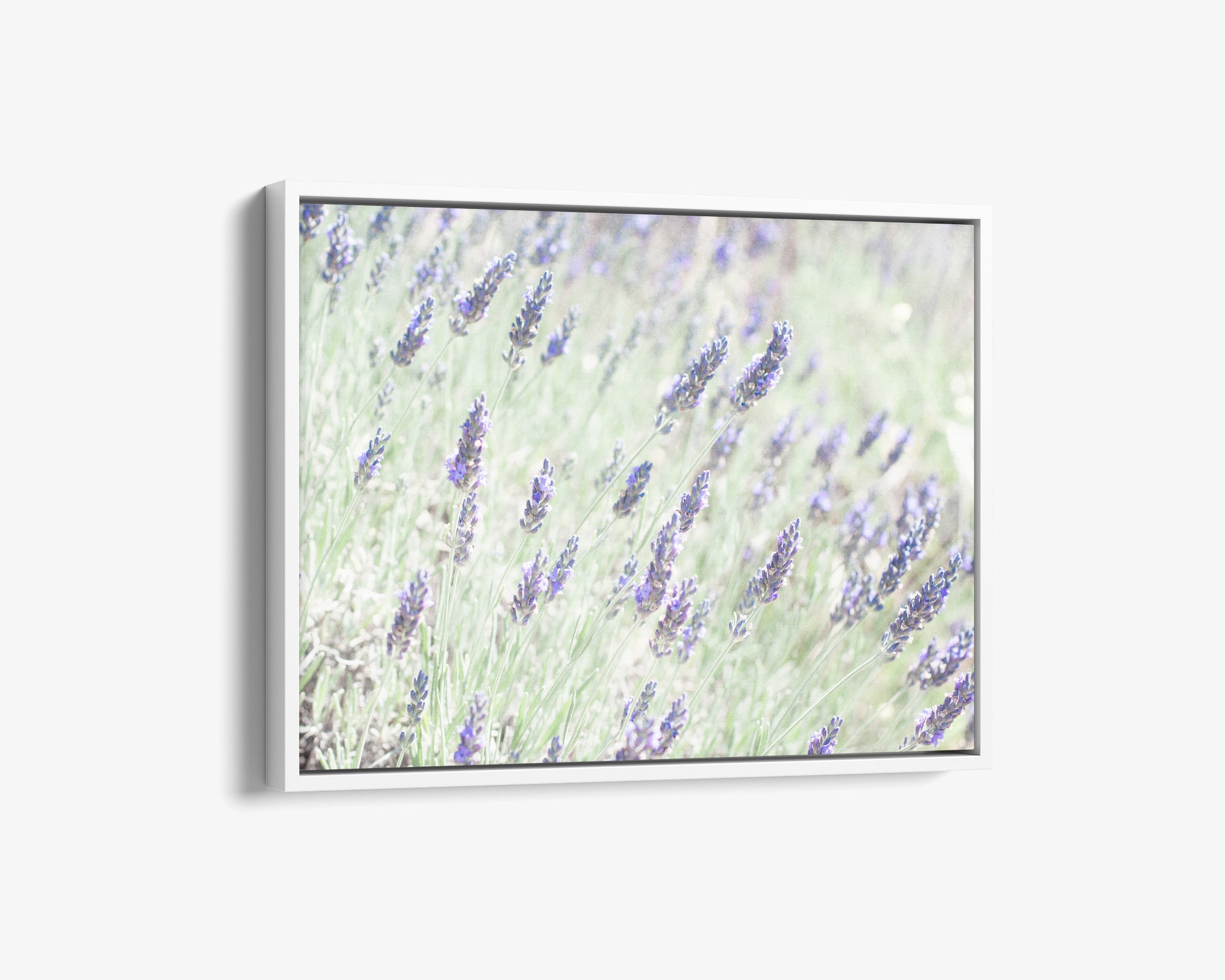 Rustic Wildflower Canvas Wall Art, 'Lavender for Lala'
