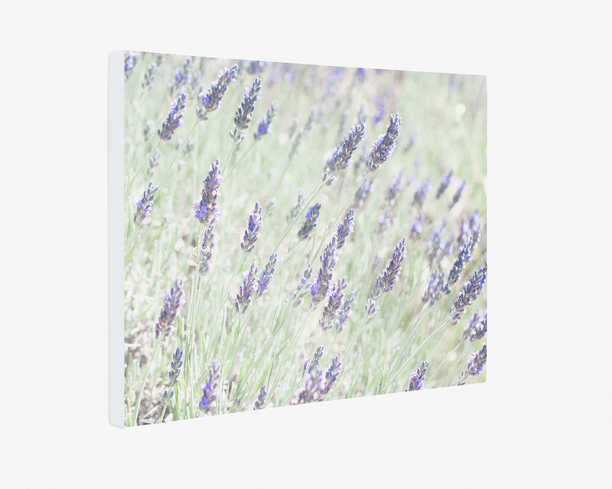 Rustic Wildflower Canvas Wall Art, 'Lavender for Lala'