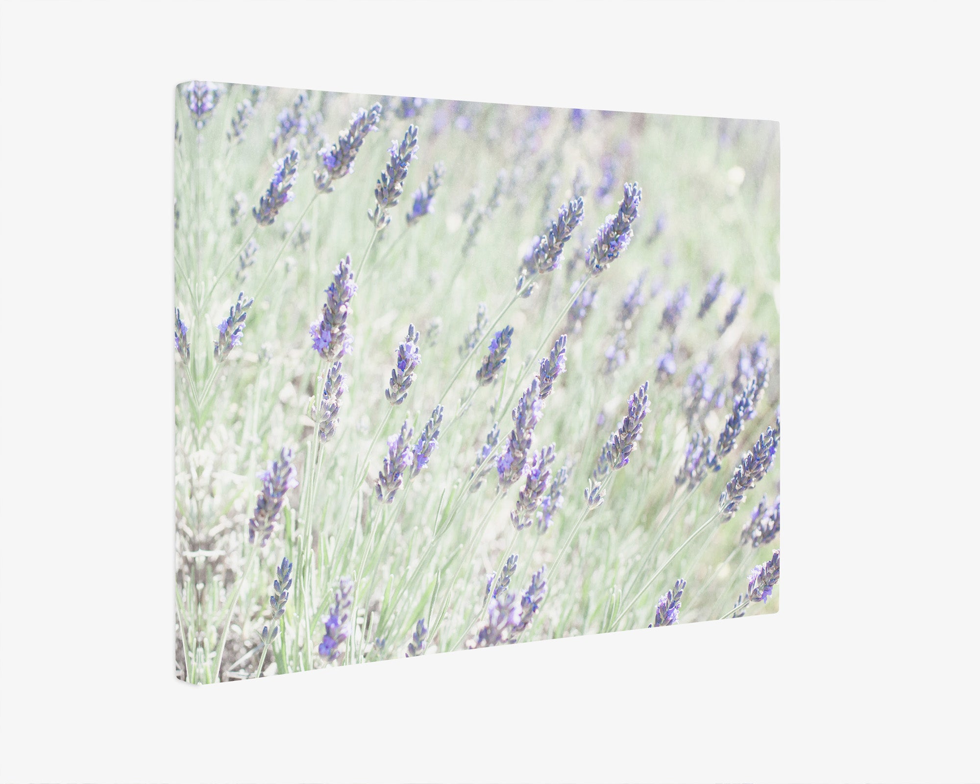 Rustic Wildflower Canvas Wall Art, 'Lavender for Lala'