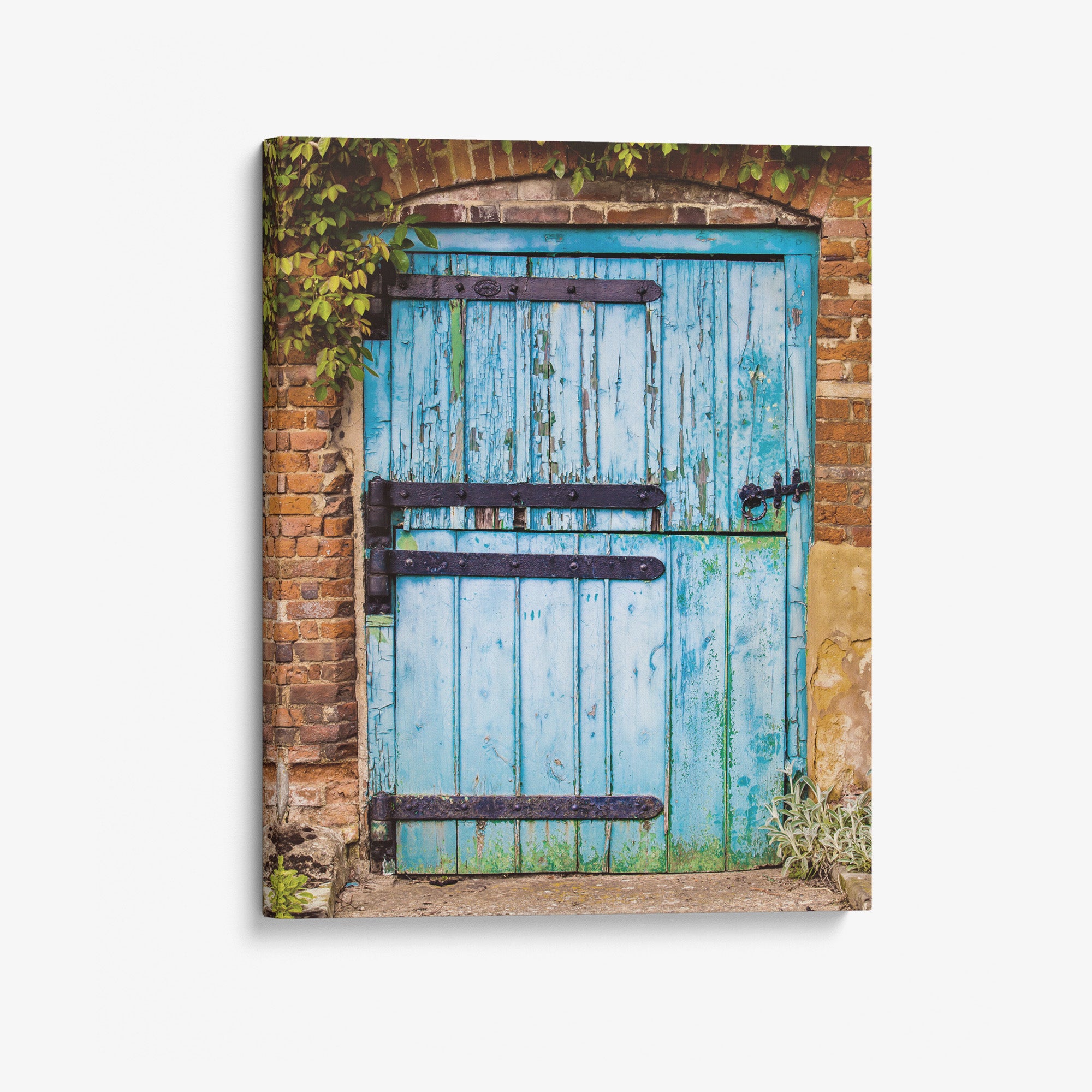 Rustic Country Cottage Wall Art, 'Flakey Blue Barn Door'