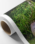 Rustic Farmhouse Wall Art, 'Rusty Grass Roller'