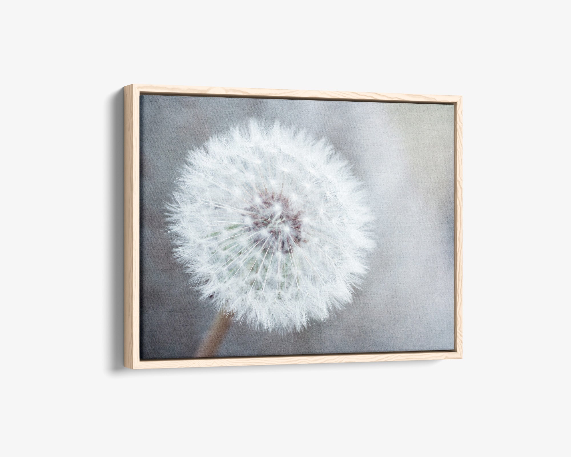 Neutral Grey Floral Canvas Wall Art, 'Dandelion King'