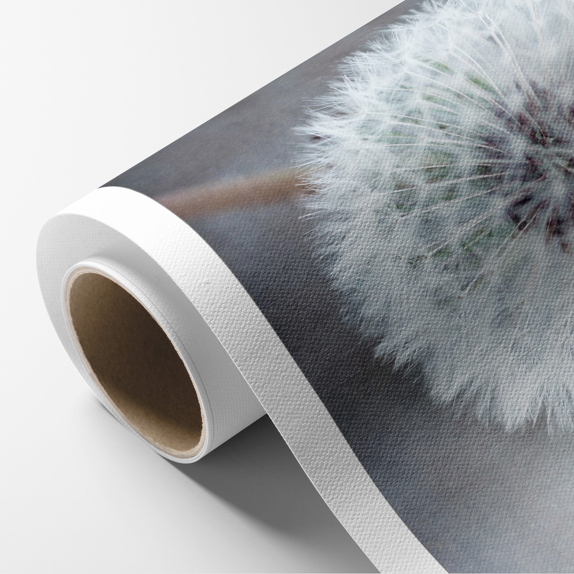Neutral Grey Floral Canvas Wall Art, 'Dandelion King'
