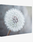 Mint Green Botanical Wall Art, 'Aloe Vera Spikes'