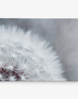 Grey Botanical Canvas Wall Art, 'Dandelion Queen'