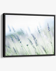 A Rustic Farmhouse Canvas Wall Art piece depicting a soft focus image of lavender plants, conveying a gentle and tranquil ambiance, hung against a plain white background.
