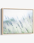 Rustic Farmhouse Canvas Wall Art, 'Buds of Lavender'
