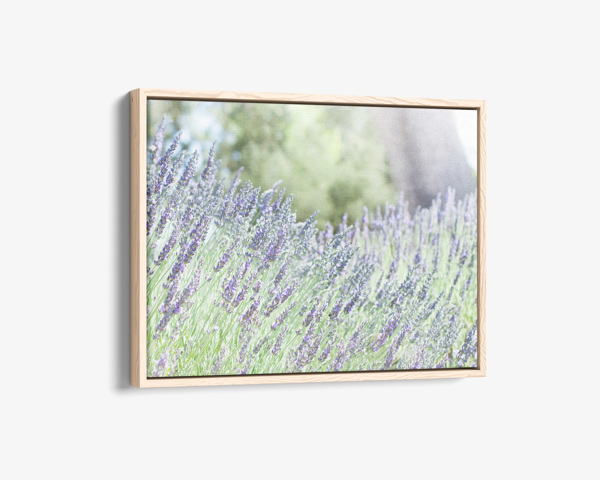 lavender plant wall art Rustic Canvas Wall Art, 'Fields of Lavender'